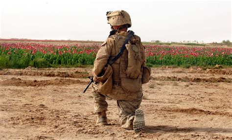 The U.S. Marines are sending a task force back to Afghanistan's Helmand province