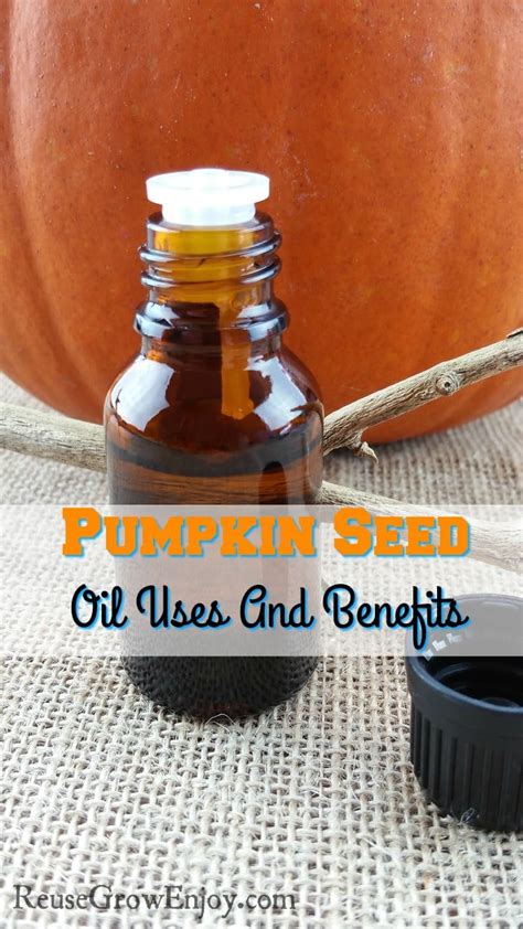 Pumpkin Seed Oil Uses And Benefits - Reuse Grow Enjoy