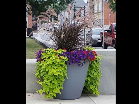 Hardin, Ohio Commercial Self-Watering Planter. Extra Large, Beautiful ...