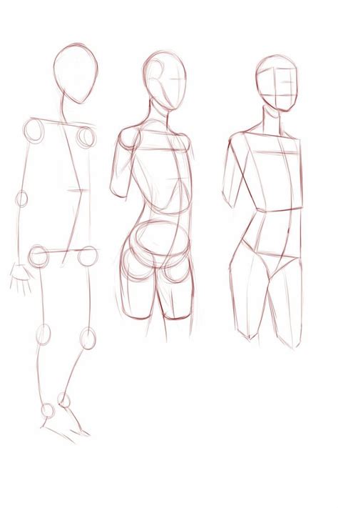 Female frames by Ecchi-Senshi on DeviantArt | Human anatomy art, Figure drawing reference, Human ...