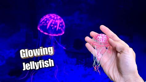 Aquarium Jellyfish Decoration - YouTube