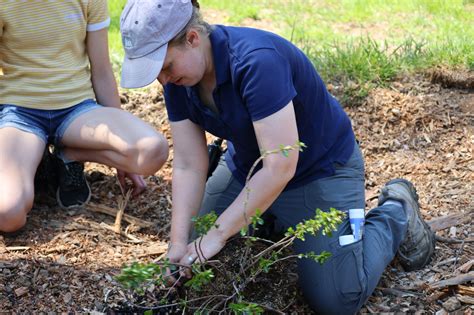 Earth Day Celebrations at Greenspring - Greenspring Montessori School