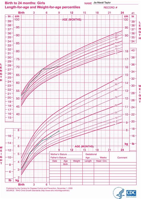 Pin on Sample Charts and Graphs Templates