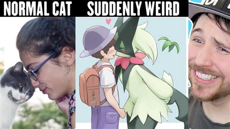 CAT BEHAVIOR GETS WEIRD ON MEOWSCARADA - Pokemon Memes - YouTube