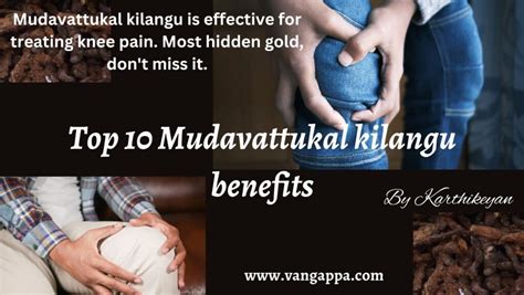 Top 10 Mudavattukal kilangu benefits - Vangappa