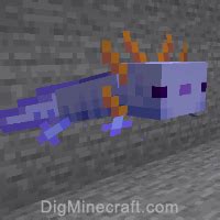 How to Summon an Axolotl in Minecraft