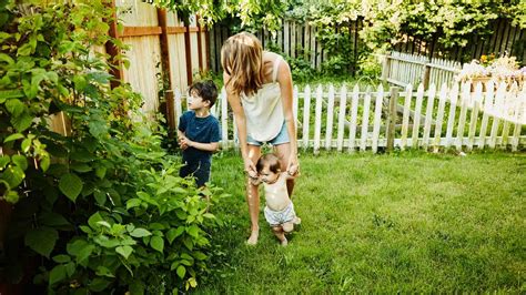 Garden Fence