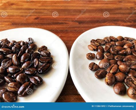 Different of Coffee Beans Roasts.roast Coffee Beans Stock Photo - Image ...