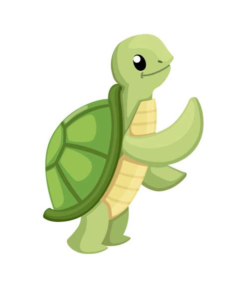 Best Cute Cartoon Turtles Walking Illustrations, Royalty-Free Vector Graphics & Clip Art - iStock