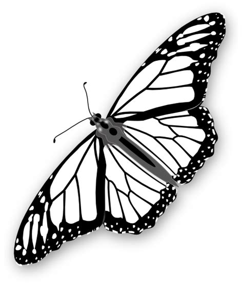 Monarch Butterfly Bw Clip Art at Clker.com - vector clip art online, royalty free & public domain