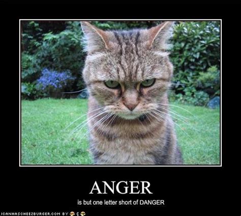 ANGER - Cheezburger - Funny Memes | Funny Pictures