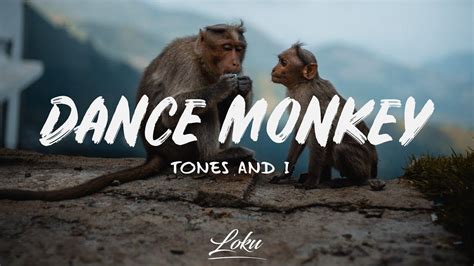 Dance Monkey Wallpaper