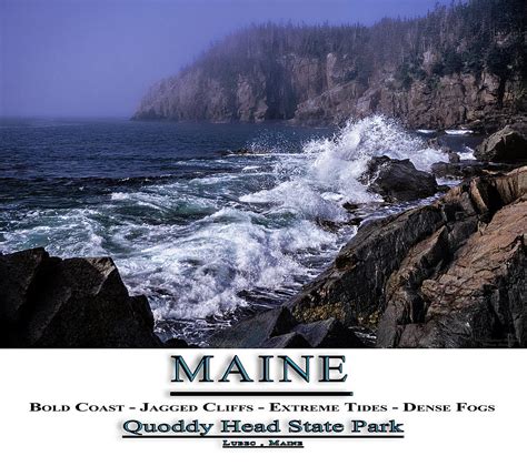 MAINE Quoddy Head State Park Photograph by Marty Saccone - Fine Art America