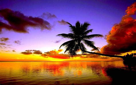 Free Beach Sunset Wallpapers - Wallpaper Cave