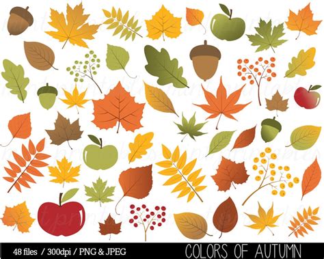 Autumn Leaf Clipart, Fall Leaves Clip Art, Thanksgiving, Branches ...