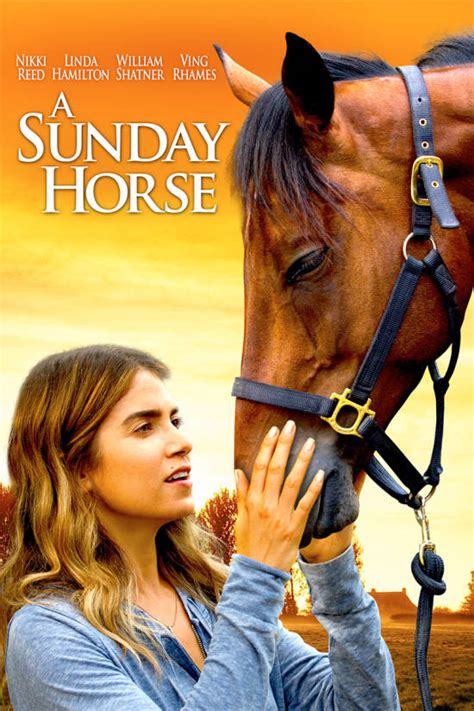 Cineplex Store | A Sunday Horse