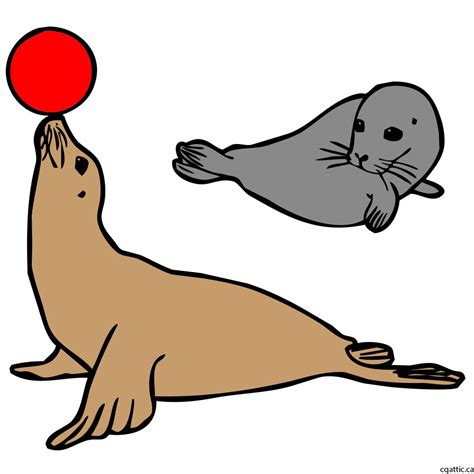 Seal Animal Drawing | Free download on ClipArtMag