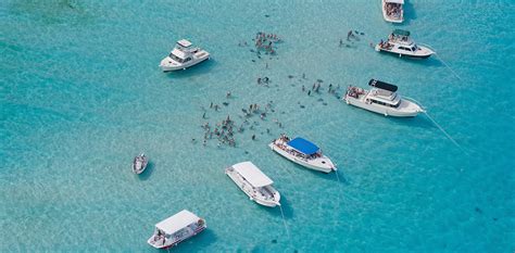 Stingray City - Cayman Islands’ Most Popular Attraction