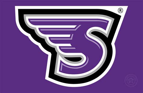 Stonehill Skyhawks Logo - Primary Dark Logo - NCAA Division I (s-t ...