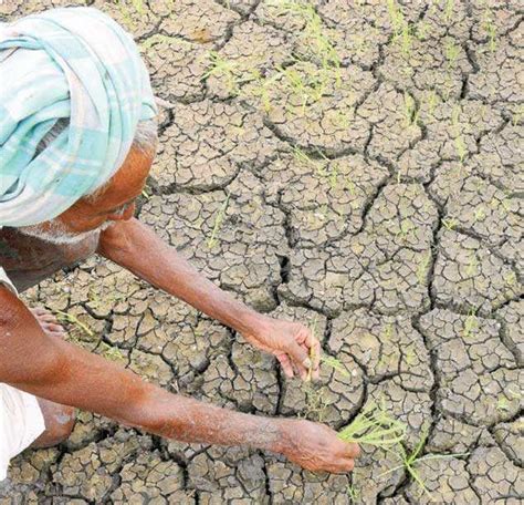 India faces a significant drought, US agency says | India News - Times ...