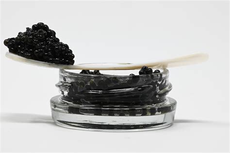 Classic White Sturgeon Caviar - 1oz – Four Star Seafood and Provisions