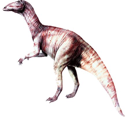 Anatosaurus Dinosaur, Gallery | fossil - Real dinosaur picture