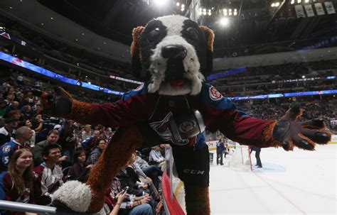 Colorado Avalanche 10 Reasons to Attend Games: Mascot Bernie