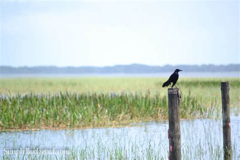 Discovering Central Florida Attractions