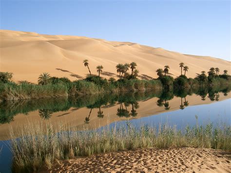 File:Oasis in Libya.jpg - Wikimedia Commons