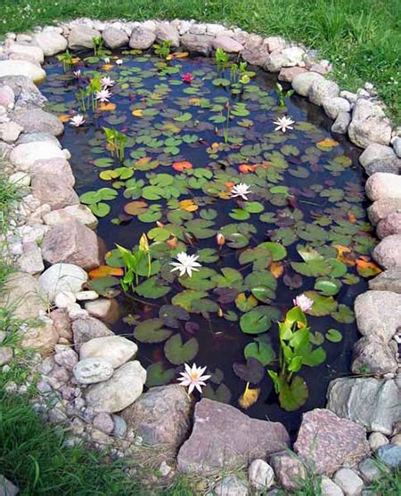 73 Ways To Create An Amazing Garden Pond - Page 2 of 2 ...