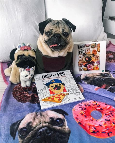 Doug The Pug (@itsdougthepug) • Instagram photos and videos