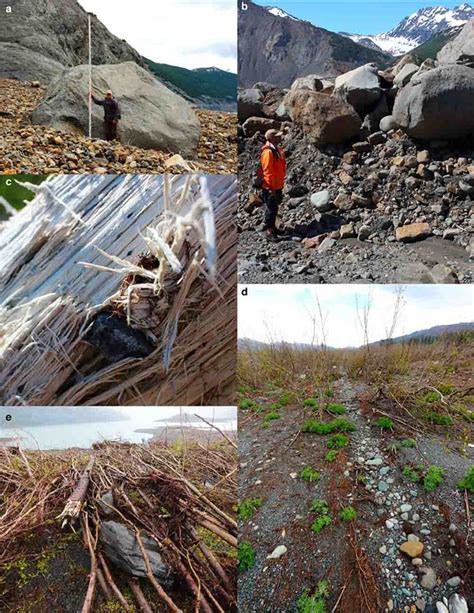 The 2015 Taan Fiord Landslide and Tsunami (U.S. National Park Service)