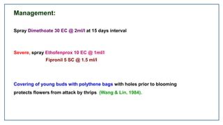 Chrysanthemum pest and diseases | PPT