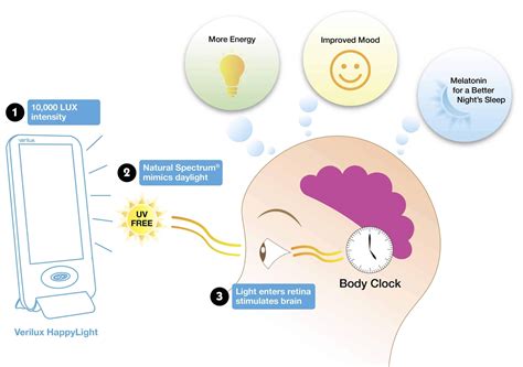 Light Therapy Benefits for Circadian Rhythm Disorder | Verilux Blog