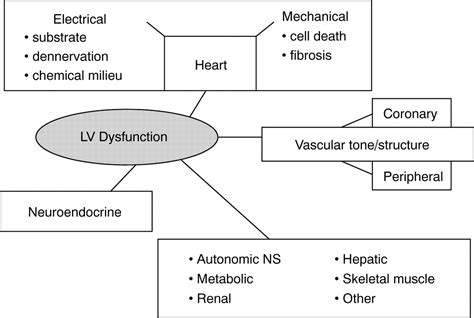 Left ventricular dysfunction: causes, natural history, and hopes for reversal | Heart