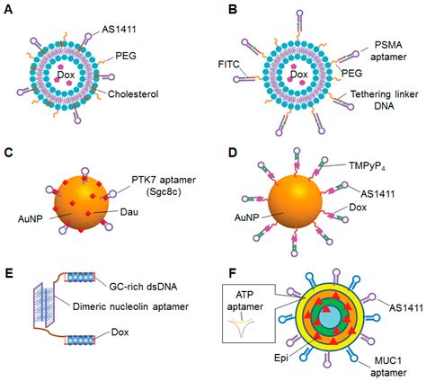 Cancers | Free Full-Text | Current Advances in Aptamers for Cancer Diagnosis and Therapy | HTML