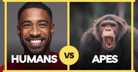 Comparing Humans and Apes: Unraveling the Complexities of Our Closest ...