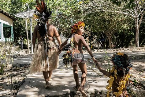 Warring Amazonian Tribes have united against Brazilian Government to protect the environment ...