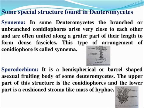 Dr. Sristisri Upadhyaya - ppt download