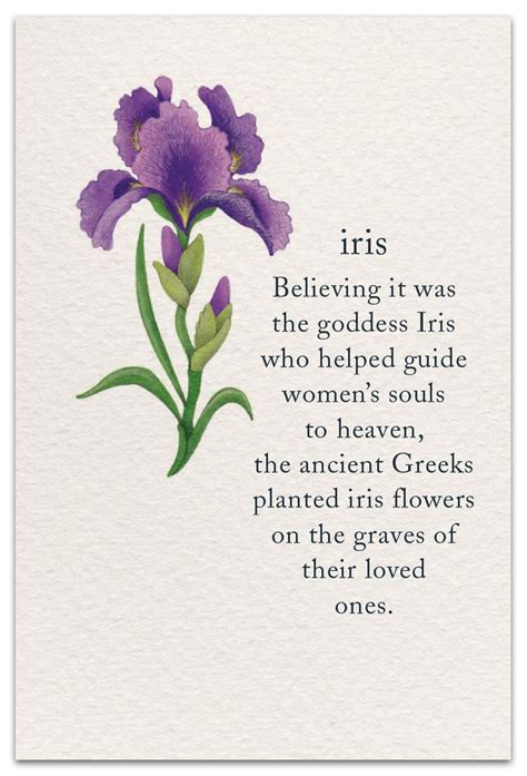 Iris | Condolence card | cardthartic.com | Flower meanings, Flower quotes, Iris flowers