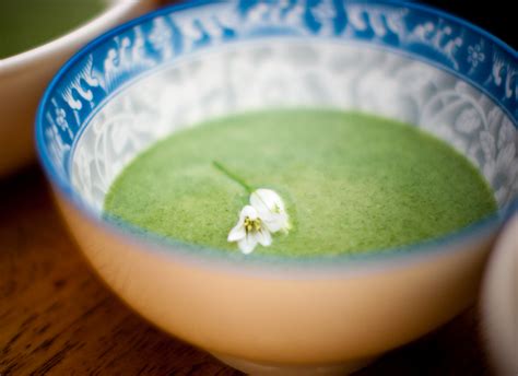 Nettle Is Great...Wild Nettle Soup Recipe — forageSF