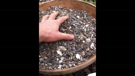 Activating Pumice Stone for your Garden - YouTube