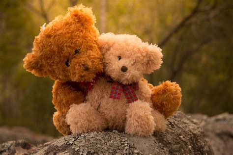 Teddy Bear Love | Teddy bear wallpaper, Teddy bear pictures, Teddy bear