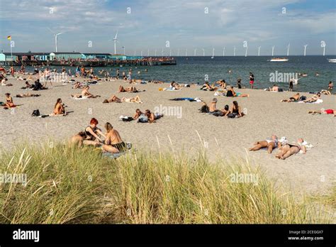 Amager Strandpark in Kopenhagen, Dänemark, Europa | Amager Beach Park ...