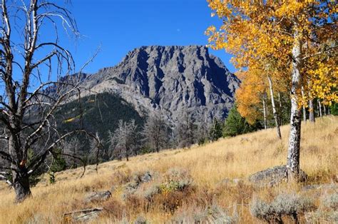 Flat top mountain wyoming photos