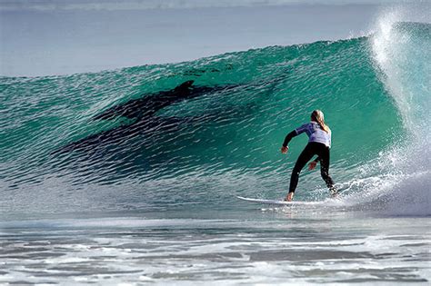 Manly Beach – surf history « Manly Bunkhouse