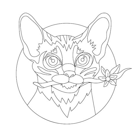 Premium Vector | Hand drawn cat face outline illustration