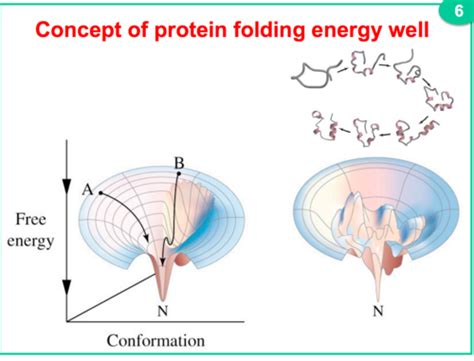 BIOCHEM-Lecture 6 (Protein Folding) Flashcards | Quizlet