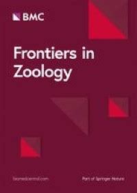 Brain anatomy in Diplura (Hexapoda) | Frontiers in Zoology | Full Text
