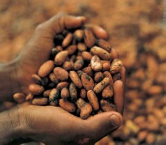 Marxist Theory Explains Why These Cocoa Farmers Have Never Tasted Chocolate